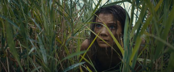 ‘혹성탈출: 새로운 시대’. 사진|월트디즈니컴퍼니