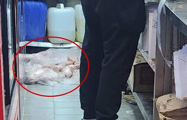 유명 치킨 프랜차이즈의 한 점포에서 생닭들을 더러운 바닥에 방치한 채 튀김 작업을 하는 모습이 소비자의 폭로로 드러났다. 빨간 동그라미 안 생닭들. 사진=커뮤니티 갈무리