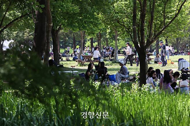 서울숲을 찾은 시민들이 푸른 녹음 아래에서 휴일을 보내고 있다.