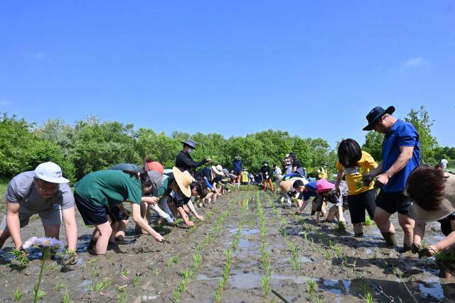 기사와 관련 없는 자료사진. 경기일보DB