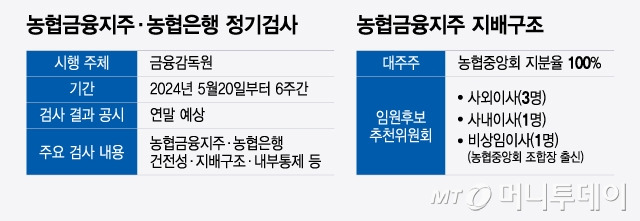 농협금융지주·농협은행 정기검사 및 농협금융지주 지배구조/그래픽=윤선정