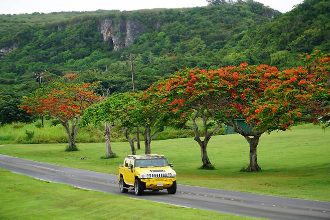 학살절벽이라고 불러도 무방할 전범들의 자실(투신 강요) 절벽 앞으로 한국인의 렌터카가 지나가고 있다.