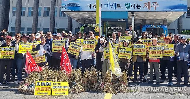 재해 인정 벌마늘 전량 수매 촉구 (제주=연합뉴스) 김호천 기자 = 사단법인 제주마늘생산자협회 회원들이 13일 오후 제주도청 앞에서 재해로 발생한 벌마늘을 전량 상품가격 기준으로 수매하라는 구호를 외치고 있다. 2024.5.13 khc@yna.co.kr