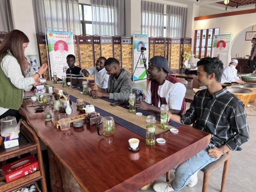 International students from Linyi University are tasting Chunshan tea at Chunshan Tea Plantation to learn about Chinese tea culture.