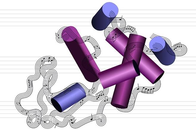 단백질 분자의 구조가 음악으로 변환되는 과정을 이미지로 표현한 그림. 미국 일리노이대 연구진이 단백질과 물 분자의 상호작용을 소리로 나타냈다./미 MIT