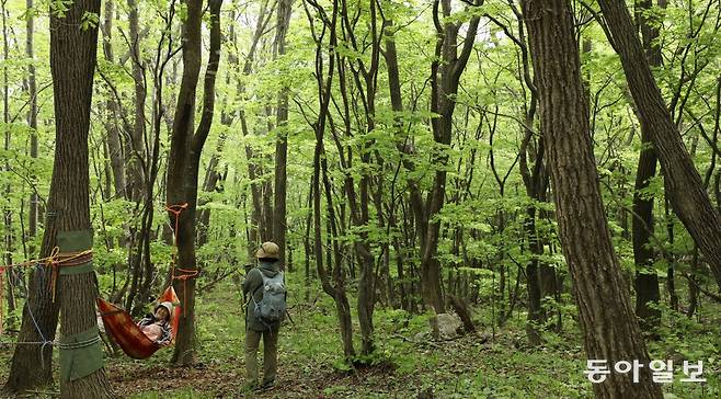 지난달 30일 강원 양구군 해안면 ‘비무장지대(DMZ) 펀치볼 숲길’을 찾은 탐방객들이 서로의 모습을 휴대전화로 촬영하며 사진에 
담고 있다. 이곳은 국내 최북단 민간인통제선 내 유일한 숲길로 등산지도사가 동행해야 탐방할 수 있지만 금강초롱, 산양 등 
희귀동식물을 직접 볼 수 있는 코스로 입소문이 났다. 양구=신원건 기자 laputa@donga.com