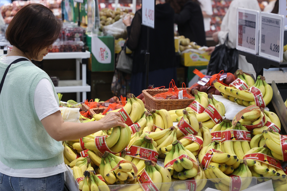 A shopper browses bananas at a discount mart in downtown Seoul on Tuesday. Banana imports reached an all-time high of $46.3 million in April, up 59 percent from the previous month, according to data from the Korea Customs Service. Pineapple imports also hit a new high of $9.1 million last month, an on-month increase of 74 percent. The Korean government has recently accepted more imported fruit in an effort to refrain from hiking the prices of domestically produced apples and pears. [YONHAP]
