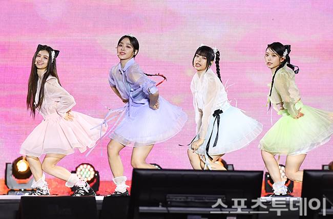 스포츠투데이 포토