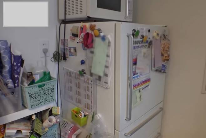 일본은 지난해 7년 만에 처음으로 '절전 캠페인'을 펼쳤다. 필수 가전인 냉장고 온도를 '강'에서 '중'으로 내려달라고 제안하는 등 깨알팁이 많다. 사진은 자석이 잔뜩 붙어 있는 냉장고./유튜브 캡처