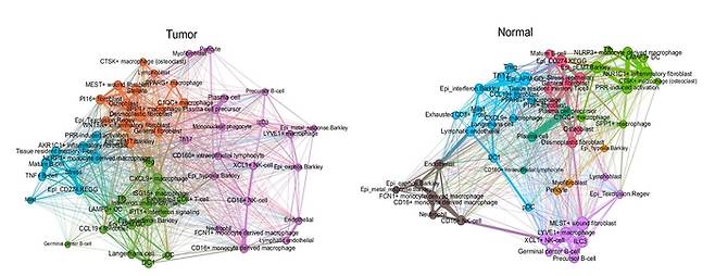 암과 정상 조직의 세포 생태계 네트워크 비교