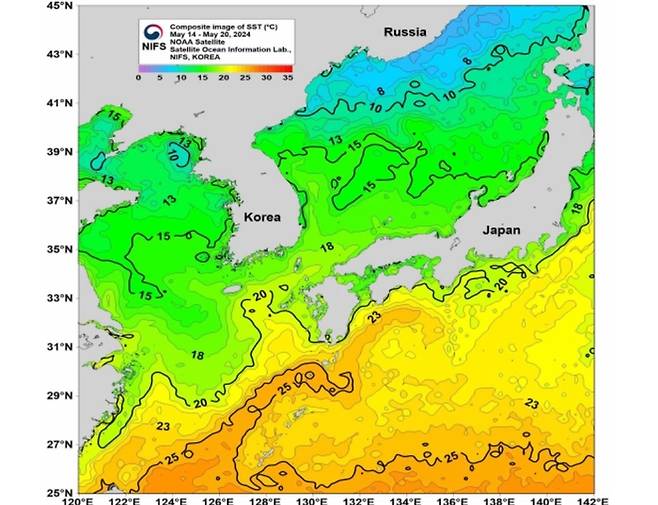 2024년 5월 14~20일 한국 근해 주간 수온. 평년보다 1도가량 높다. 국립수산과학원