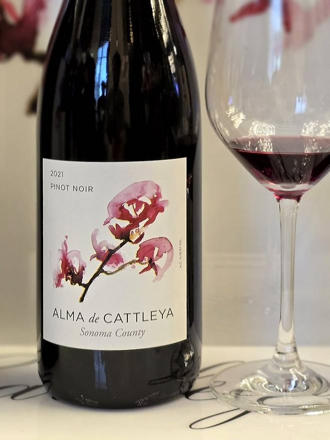 알마 드 카틀레야 레이블에 담긴 콜롬비아 국화 양란. 최현태 기자