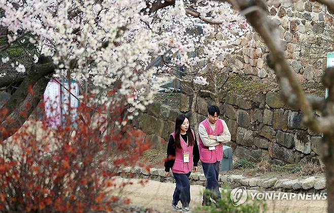 꽃길 데이트…산책하는 남녀 템플스테이 참가자 [연합뉴스 자료사진]