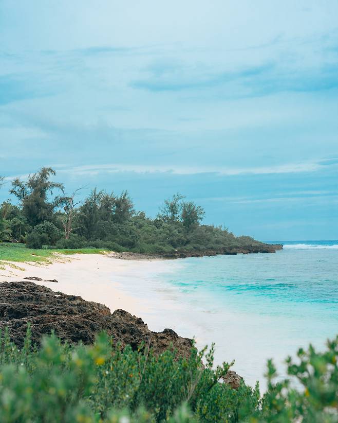 상륙작전 위장용으로 쓰인 타촉냐비치에선 캠핑도 즐긴다.
