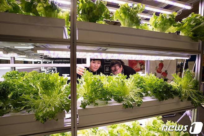 서울 강남구 코엑스에서 열린 2023 코엑스 푸드위크(제18회 서울국제식품산업전)와 동시 개최된 '월드 푸드테크 엑스포'에서 관계자들이 스마트팜을 살펴보고 있다.  2023.11.22/뉴스1 ⓒ News1 유승관 기자