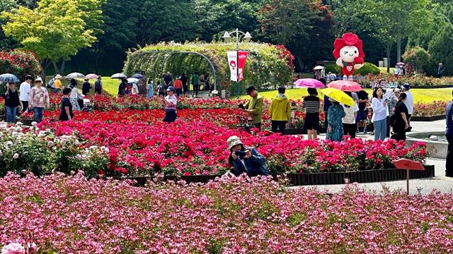 SK이노베이션과 울산광역시는 22일부터 26일까지 울산대공원에서 '장미축제'를 진행한다. /SK이노베이션