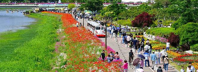 지난해 황룡강 일원에서 펼쳐진 길동무 꽃길축제. 올해는 음악을 주제로 새로운 변화를 시도한다. 장성군 제공