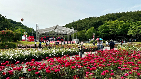 People look at blooming roses on Thursday at the Rose Festival in Ulsan Grand Park, which features 3 million roses from 265 species. [SK INNOVATION]