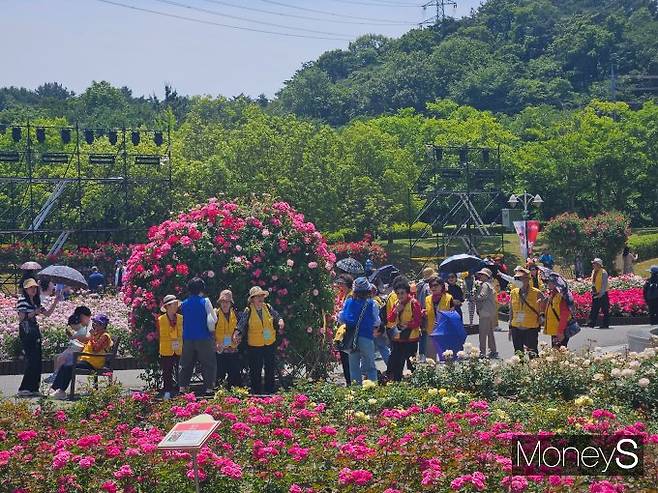 23일 관람객들이 울산대공원 장미원에서 기념사진을 촬영하고 있다. /사진=최유빈 기자
