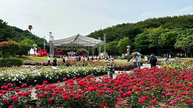 [서울=뉴시스]제16회 울산대공원 장미축제를 찾은 관람객들이 장미원을 둘러보고 있다. (사진=SK이노베이션 제공) photo@newsis.com *재판매 및 DB 금지