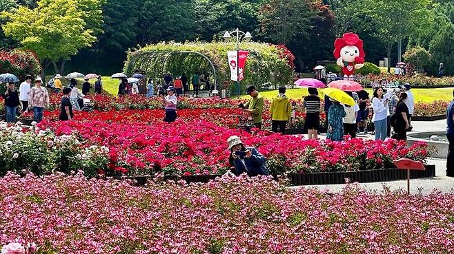 [서울=뉴시스]제16회 울산대공원 장미축제를 찾은 관람객들이 장미원에서 사진을 촬영하고 있다.(사진=SK이노베이션 제공) photo@newsis.com *재판매 및 DB 금지