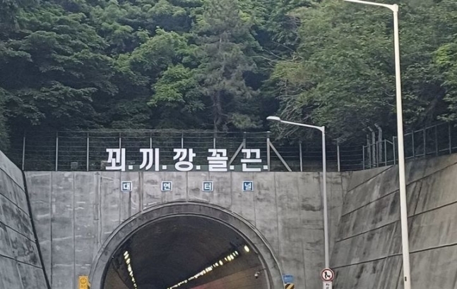 부산 도시고속도로 대연터널 위에 '꾀끼깡꼴끈'이란 문구가 등장해 시민 빈축을 샀다. (출처=온라인 커뮤니티)
