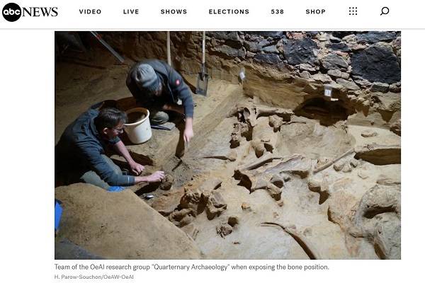 와인 저장고에서 발견된 4만년 전 매머드의 뼈 모음. ABC뉴스 캡처