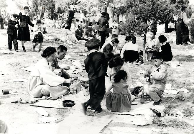 창경궁이 동물원이던 시절 소풍 온 가족이 즐거운 점심을 먹고 있다. 1960년 [임인식 제공]