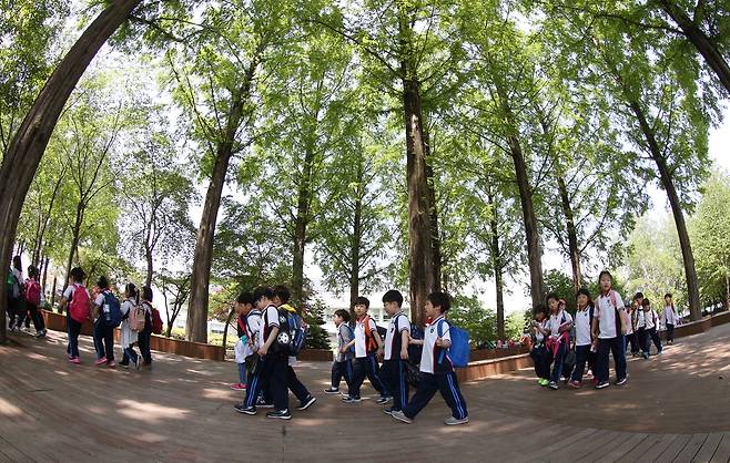 춘천에서 봄 소풍 나온 초등학생들이 신록이 우거진 나무를 따라 걷고 있다. 2016년 [연합뉴스 자료사진]