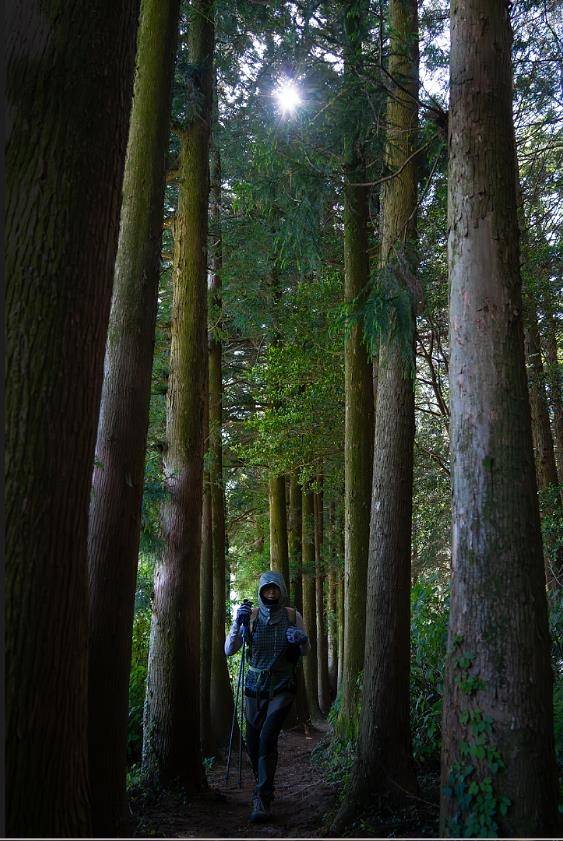 물영아리 트레킹 [사진/성연재 기자]