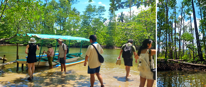 사방 맹그로브 숲 / 사진=김혜성 여행+ 기자
