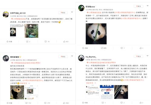 중국 소셜미디어 '웨이보'에 26일 올라온 푸바오 처우 우려 게시글들 [웨이보 캡처. 재판매 및 DB 금지]