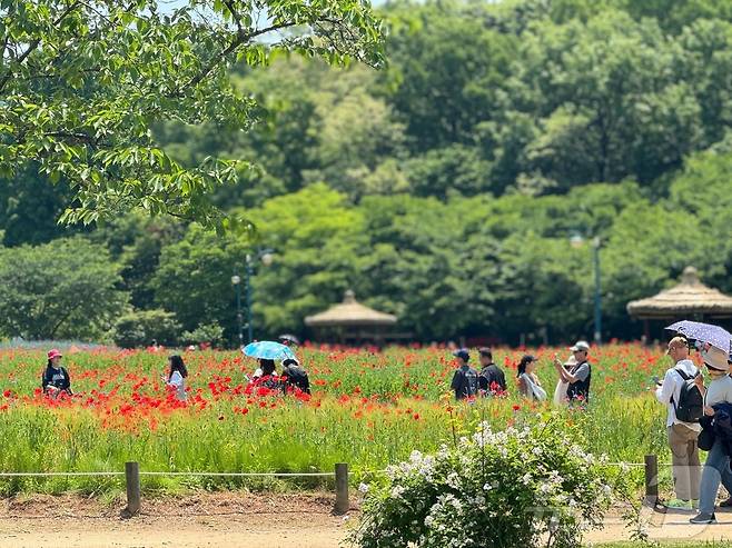 인천시 남동구 인천대공원을 찾은 시민들이 산책을 하고 있다.2024.5.19/뉴스1 ⓒ News1 박소영 기자
