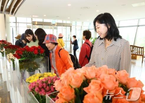 시민들이 서울식물원에서 장미 품종 전시를 관람하고 있다. (서울시 제공)ⓒ 뉴스1