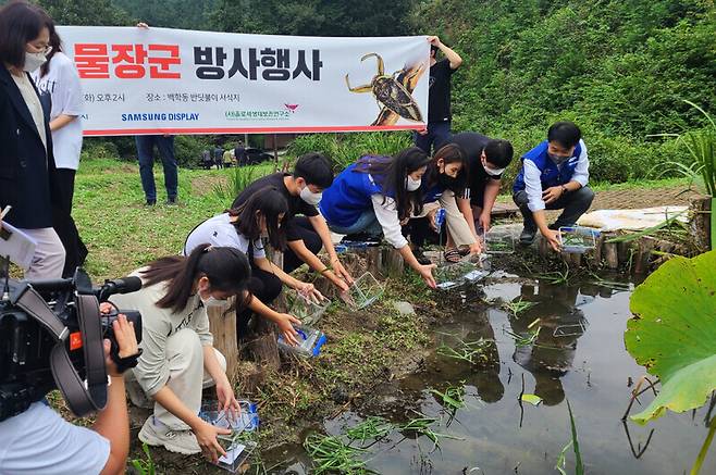 2023년 충남 아산시 백학동에서 진행된 물장군 방사. 연구소 제공