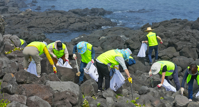 새마을금고 중앙회 임직원들이 제주올레 길 15-B코스 애월환해장성 인근에서 해양쓰레기를 수거하고 있다. (제주올레)