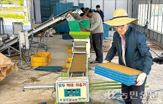 충남 서천 한산농협 박관구 조합장(오른쪽)이 직원과 함께 최근 완공한 벼 육묘장에서 농가에 공급할 모판을 옮기고 있다.