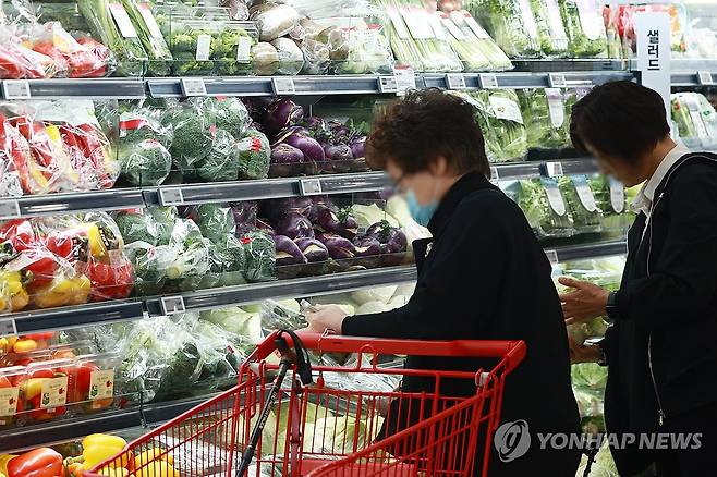 2021년 이후 물가 12.8% 급등…소비증가율 5%p 끌어내렸다 (서울=연합뉴스) 진연수 기자. 2024.4.11 jin90@yna.co.kr