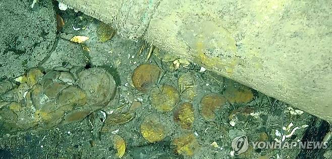 콜롬비아 앞바다에서 발견된 스페인 보물선 산호세 호 주변에 널린 금화들 [EPA 연합뉴스자료사진. 재판매 및 DB 금지]