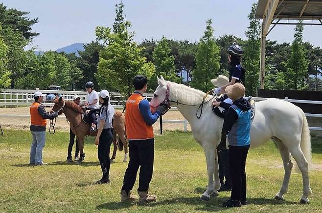 시민들을 위한 재활승마 프로그램을 운영하고 있는 렛츠런파크 부산경남.