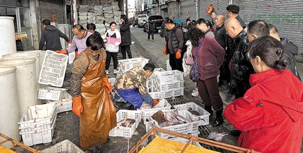 중국서 팔리고 있는 北 수산물 - 한국 식탁에 오른 바지락, 오징어 등 일부 중국산 수산물은 중국 가공 회사들이 북한 노동자 최소 수백 명을 고용해 수출한 것으로 나타났다. 사진은 지난해 4월 중국 랴오닝성 단둥시 둥강의 한 수산물 도매시장에서 북한산 추정 제품을 비롯해 수산물을 판매하는 모습. /조선DB