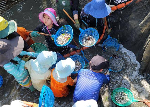 지족어촌체험마을에서 직접 멸치를 잡는 죽방렴 체험을 할 수 있다. 강병철 바다해설사 제공