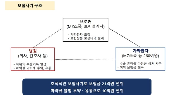 /금융감독원 제공