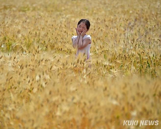 28일 대구·경북은 아침 기온이 낮아 쌀쌀하겠다. 아침 최저기온은 10~16도, 낮 최고기온은 19~25도로 예상된다. 사진은 경주 분황사 인근 보리밭. 최태욱 기자