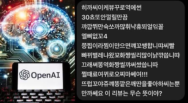 [서울=뉴시스] 일본 여행 간 한국인이 한국인만 알아볼 수 있도록 쓴 리뷰를 챗GPT가 해석해 배신감을 느낀다는 사연이 전해졌다(사진= 온라인 커뮤니티 갈무리) *재판매 및 DB 금지