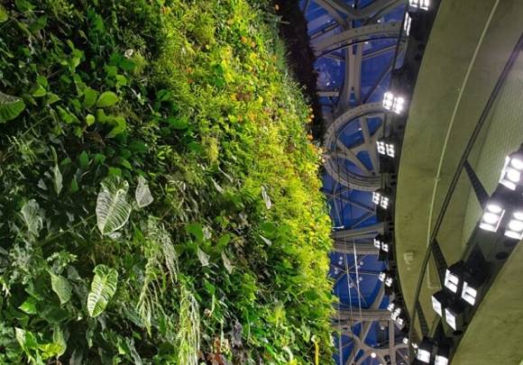 미국 시애틀 아마존 본사 더 스피어스는 남미 아마존의 생태를 도심속에 재현해 놓았다. 사진 : 더스피어스.