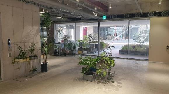 제주 디앤디파트먼트 카페는 노출콘크리트에 화분을 배치해 삭막함을 상쇄시켜 준다.