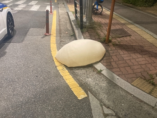 29일 오전 수원 영통구에서 발견된 대남 전단 살포용 추정 풍선 [독자 제공. 재판매 및 DB 금지]