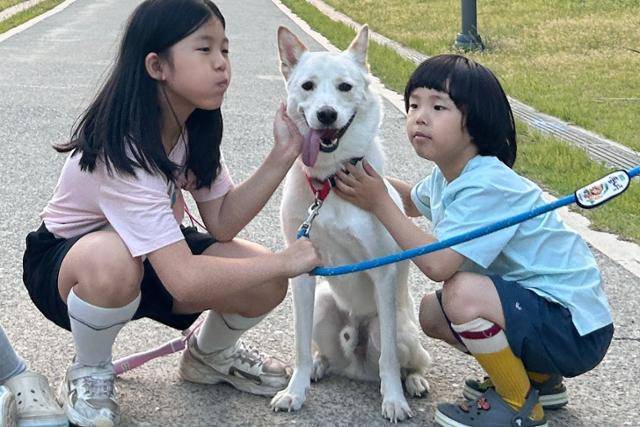 2020년 초 경기 안성시 개농장에서 구조 당시 머루는 사람을 좋아하고 다른 개친구들과도 잘 지낸다. 배지수씨 제공