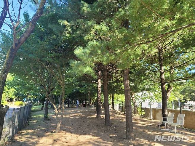 [고양=뉴시스] 일산서구 반려동물공원.(사진=고양시 제공) 2024.05.30 photo@newsis.com